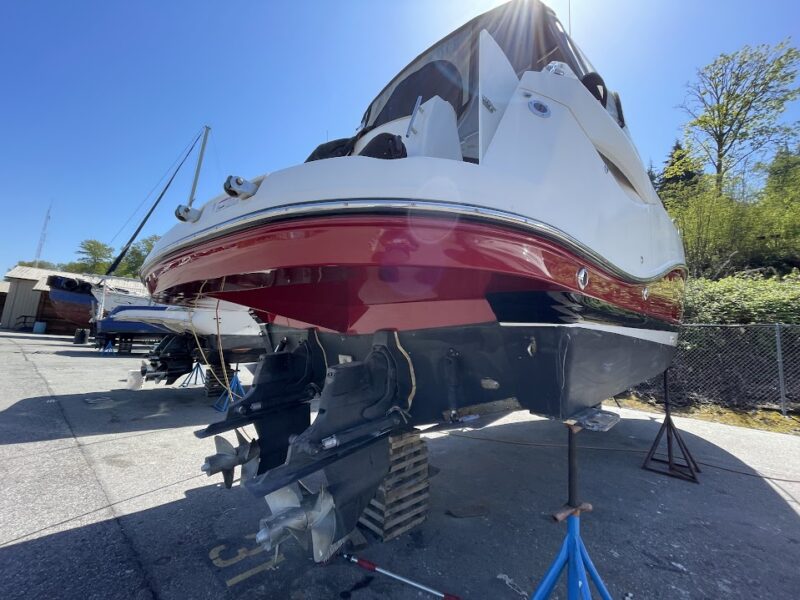 Rinker 310